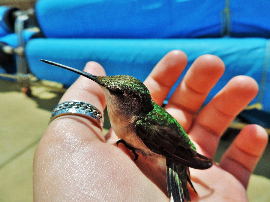 Análisis: ¿Cuánto pesa la jaula sin discos de pesos para el gimnasio?