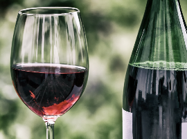 Análisis y comparativa de vinotecas Saivod: ¿Cuál es la mejor opción para conservar tus vinos?