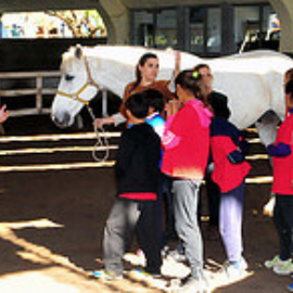 Avenida de la Universidad 30 en Leganés: Guía Completa y Todo lo que Necesitas Saber