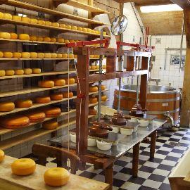 ¿Cómo se elabora el Queso Divirin?