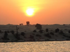 Descubre el Oasis de Sabor con Oasis Boisson: Análisis Positivo de esta Bebida Internacional
