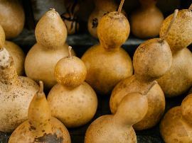 El árbol de calabaza mate: cultivo, propiedades y tradición