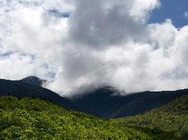 IFIGENIA EN FOREST HILLS