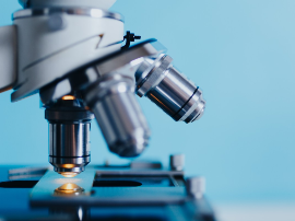 LA MEDICINA DEL ALMA