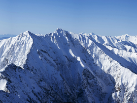 Shop Alpi nature Products Online in Spain