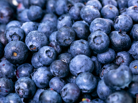 Spanish Asturian blueberries in search of a new positioning for variety, timing and quality