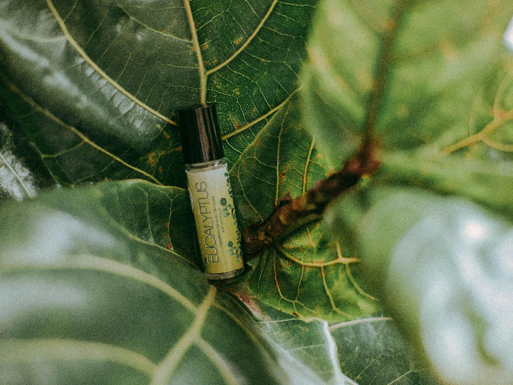 aceite cbd opiniones y caracteristicas