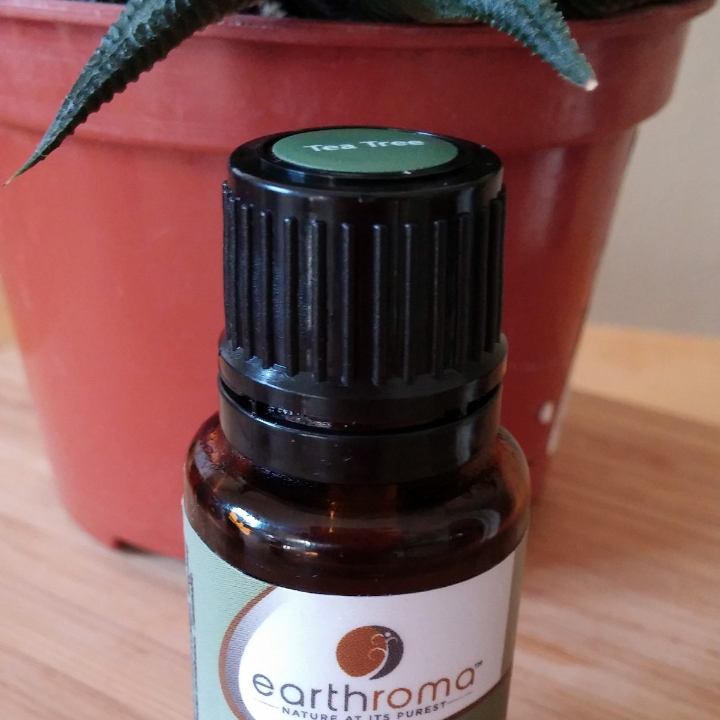 aceite esencial de cajeput