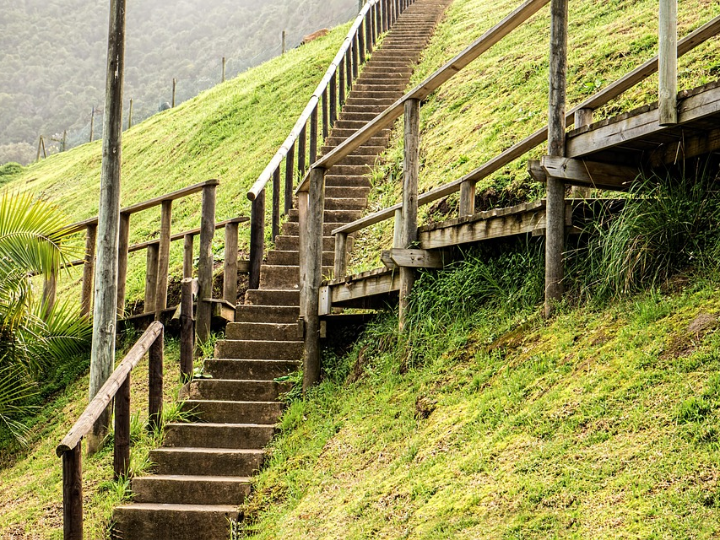 analisis comparativo de los mejores vinos dasti moscato descubre el dulce encanto de esta joya italiana
