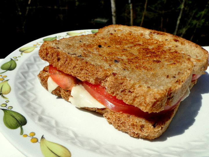 analisis de los mejores panes tostados sin fibra sin gluten descubre cual es el mas saludable para ti