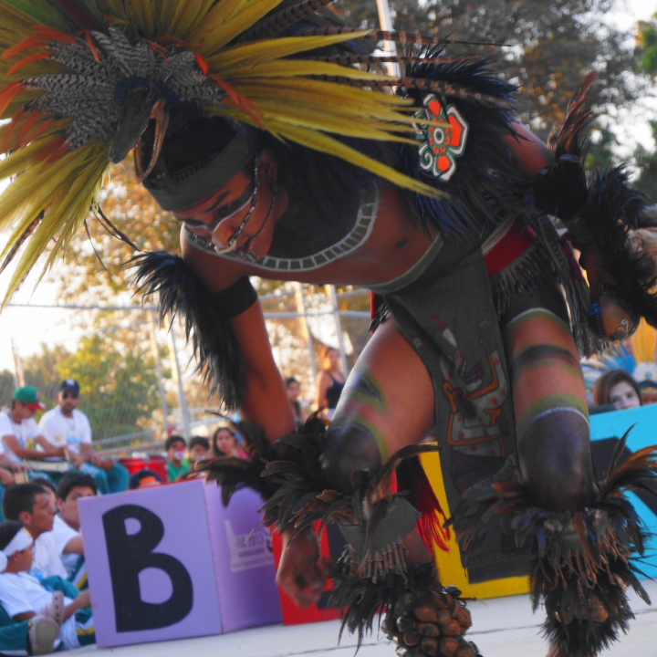 analisis y comparativa de los 5 mejores disfraces de samba brasilena ideslumbra en la pista de baile