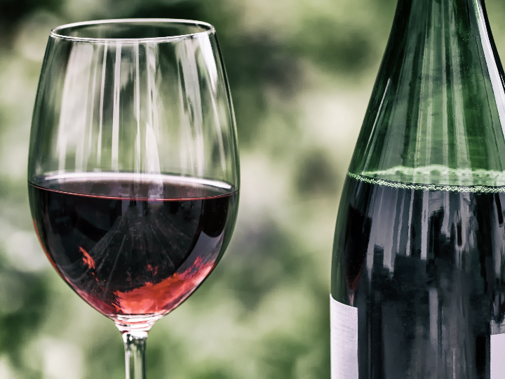 analisis y comparativa de vinotecas saivod cual es la mejor opcion para conservar tus vinos