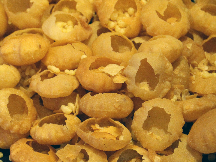 analisis y comparativa donde encontrar los mejores pani puri en el corte ingles