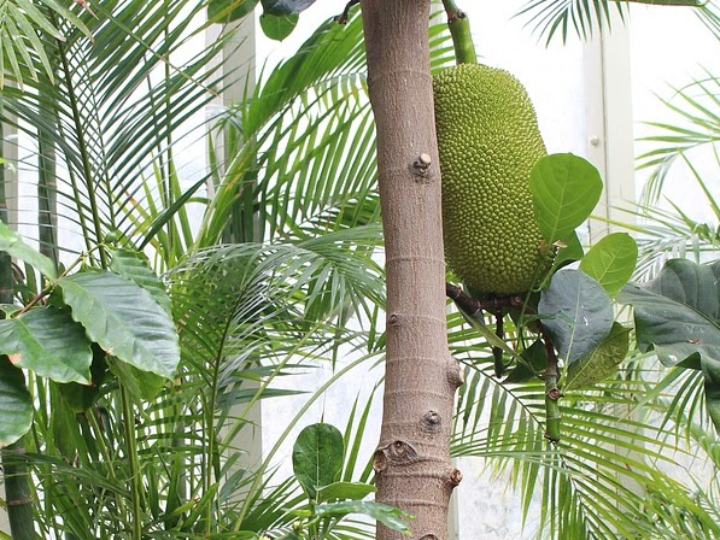 barbas degradadas la nueva era en peluqueria masculina