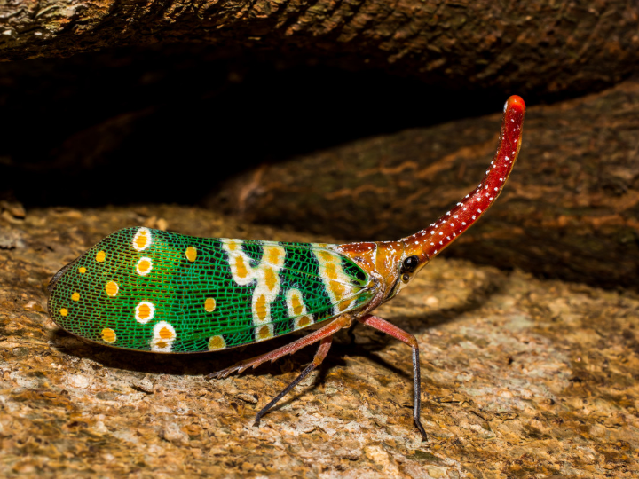 baterias para linternas de led duracion y consejos
