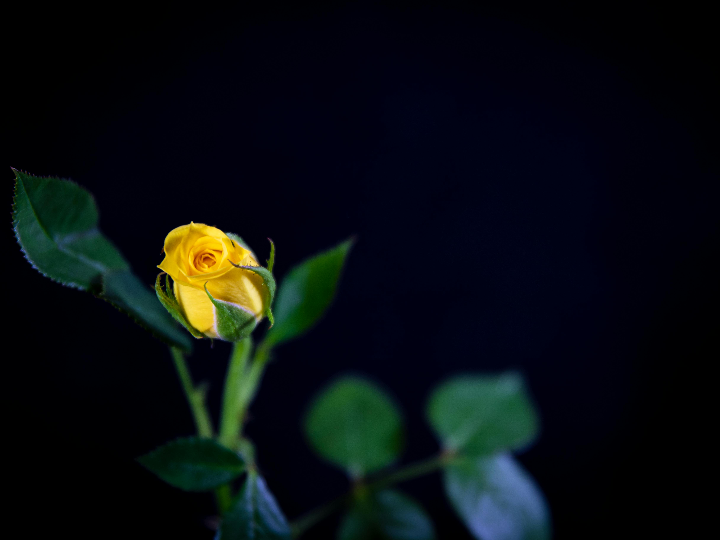 benton pha peeling gel 70 ml