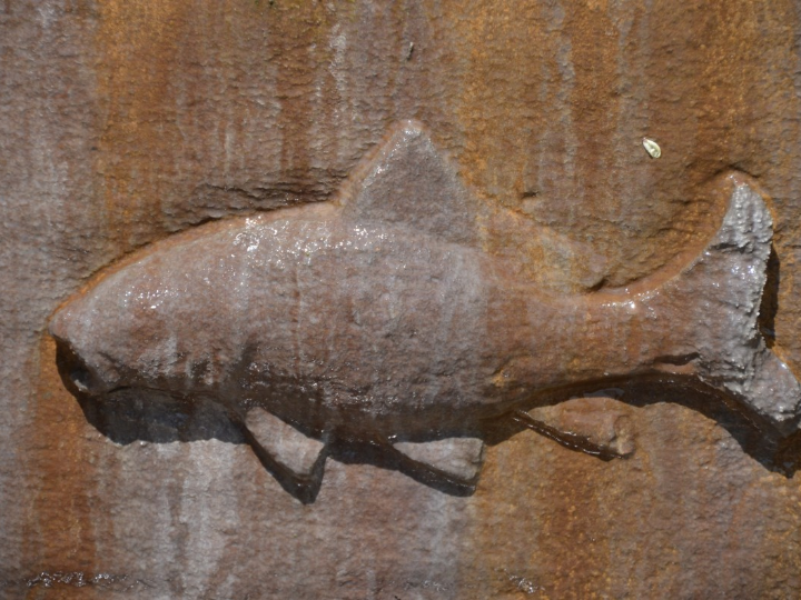 caballeros del zodiaco hyoga caballero de bronce del cisne fig 17 5 cm