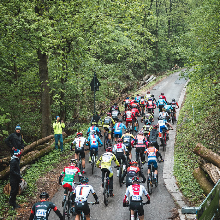 caldera saunier duval themafast condens f30 termostato wifi migo