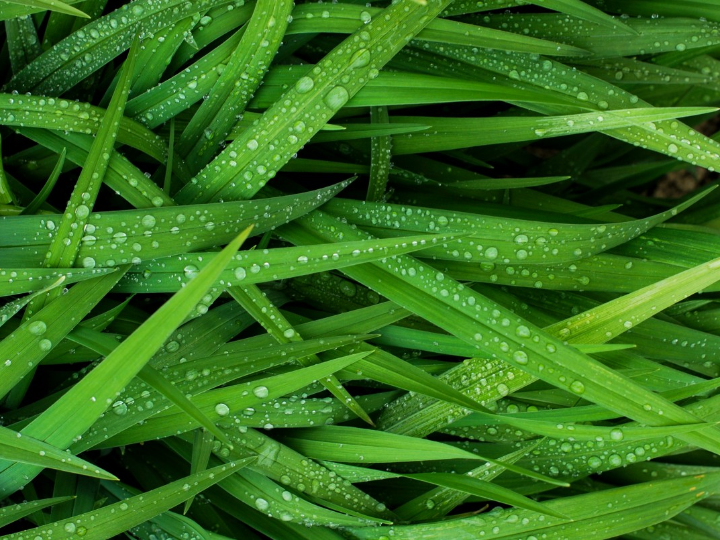 cesped artificial en cadiz