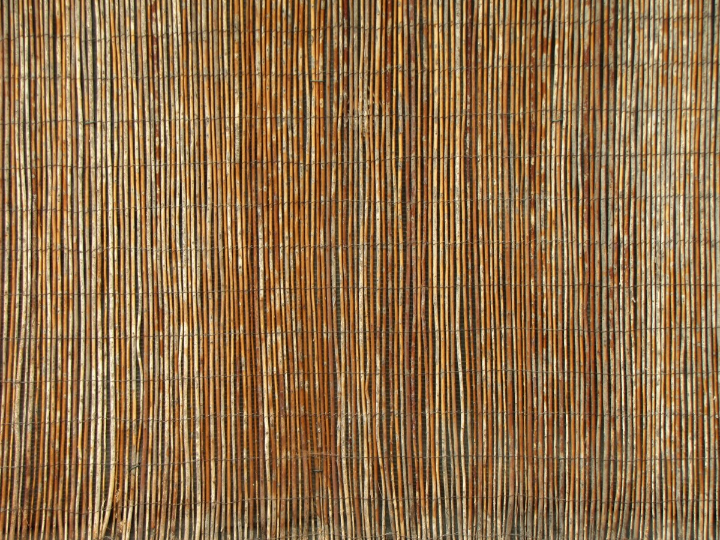 chanca piedra en mercadona donde comprar y beneficios