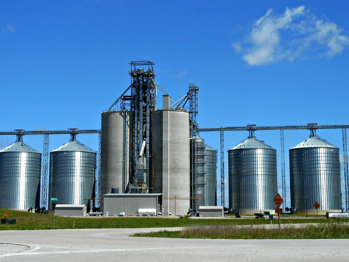 cillar de silos joven tempranillo