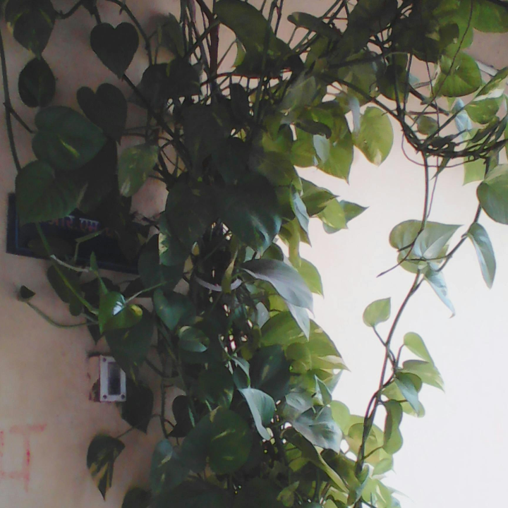 cobertor piscina intex 28040 universal desmontable redonda 488 cm grande deluxe