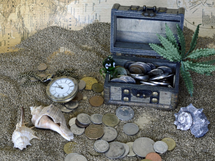 cofre bola para remolques towbox v1 dog