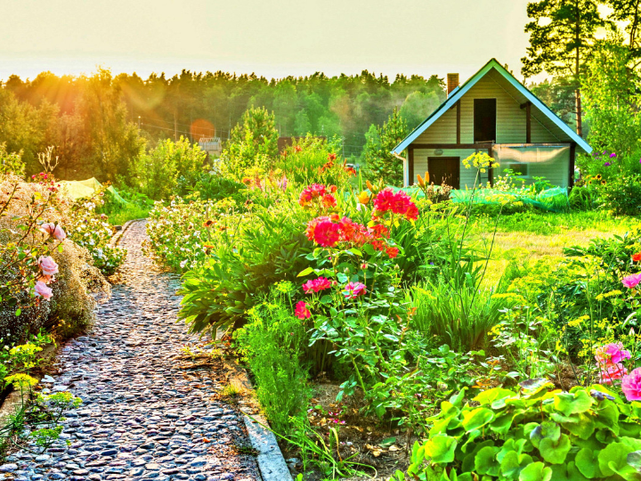 como hacer ambientadores naturales en casa