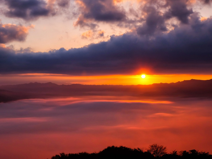 comparativa de cervezas japonesas asahi vs sapporo cual es la mejor opcion