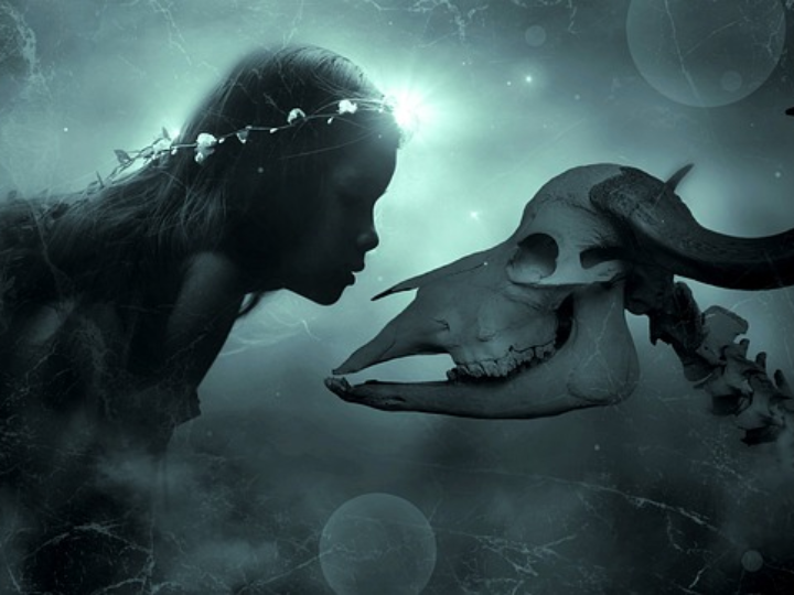 confesiones de una chica invisible una fantasia sin sentido