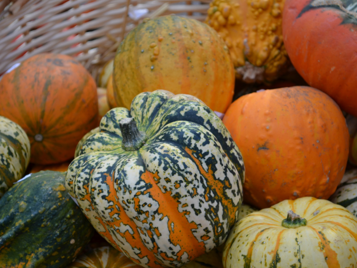 cucurbita forte integralia 60caps
