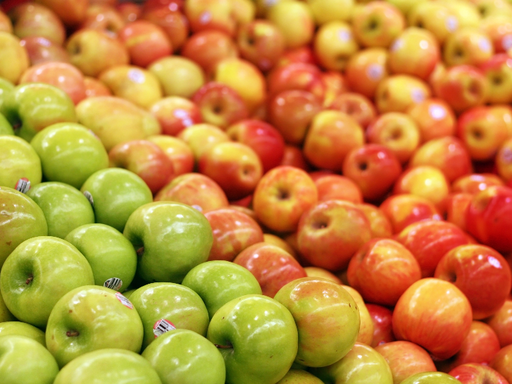 dalival vivero especializado en variedades de manzana pera y frutales de hueso