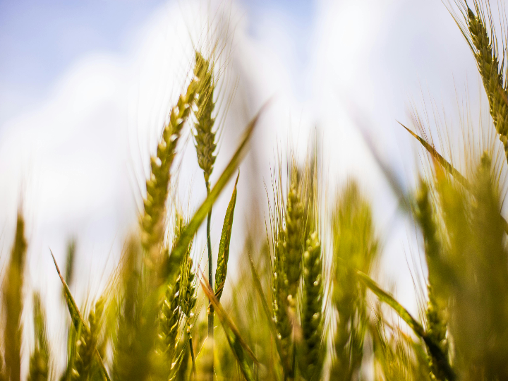 descubre por que coco pops es el cereal favorito de grandes y chicos en todo el mundo