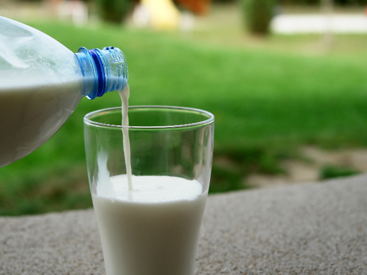 descubriendo si el suero de leche tiene lactosa guia para alimentos sin gluten
