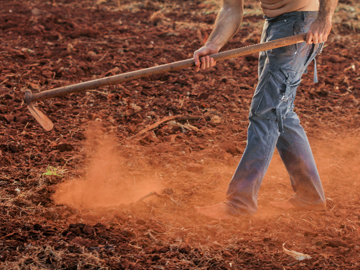 diversos tipos de azadas agricolas y sus usos