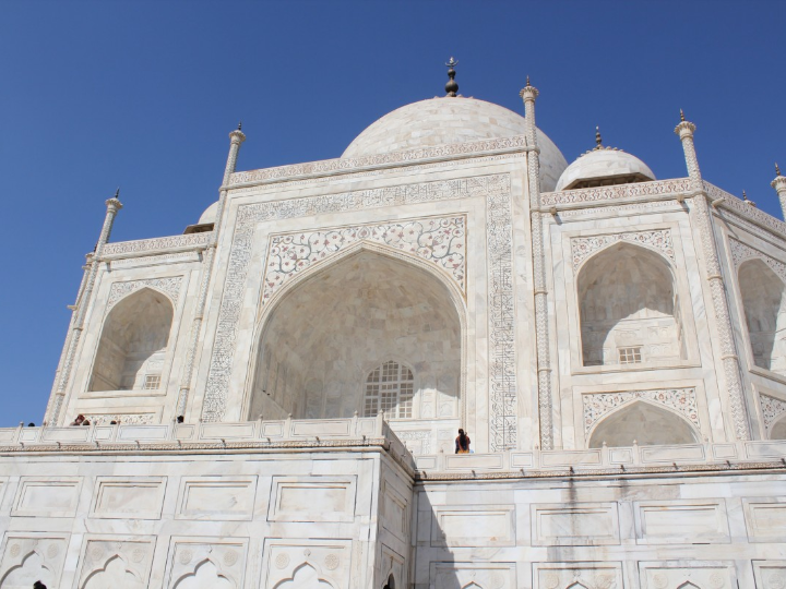 el dia que el emperador mato un rinoceronte
