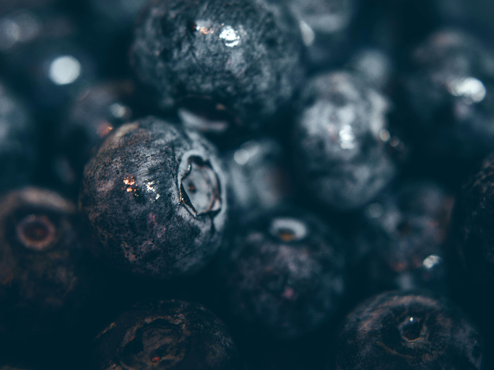 el te fuente de propiedades antioxidantes