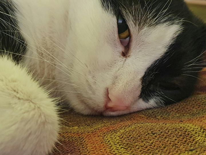 enna braga menstrual dia flujo medio talla 2 negro 1 unidad