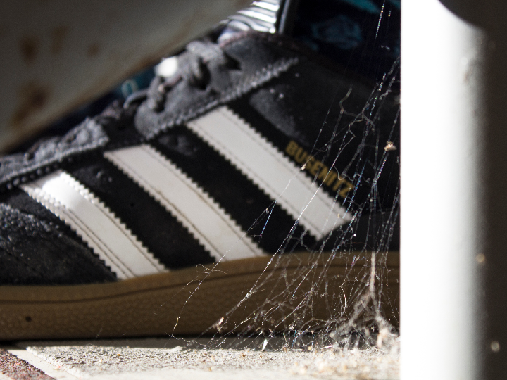 escalzado premium al mejor precio