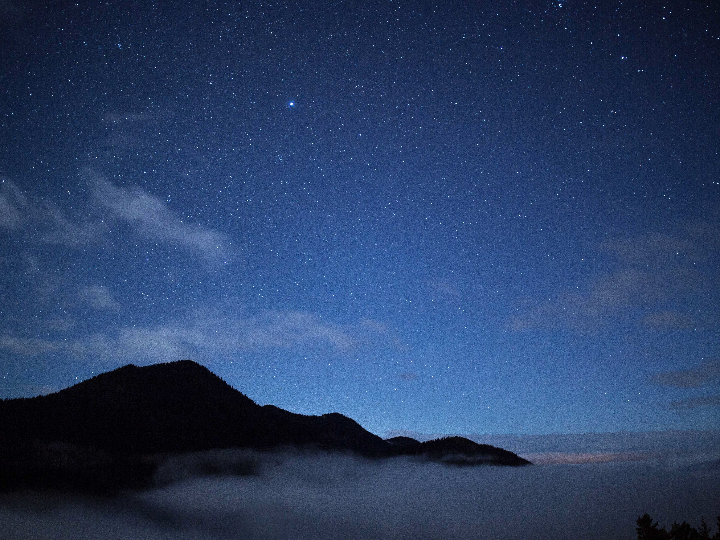 eso es todo amigos el universo animado warneriano