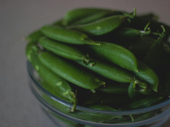 green bean tu blog de opiniones y analisis de productos