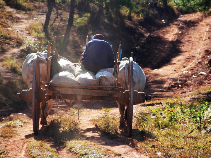 guia de compra los mejores sustitutos del extracto de buey para veganos
