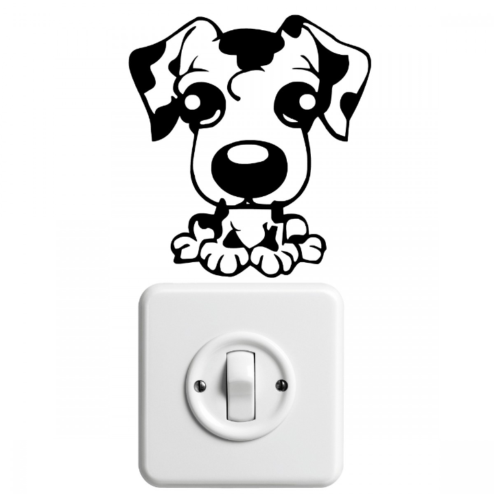 guia definitiva encuentra los mejores productos para mascotas cerca de ti