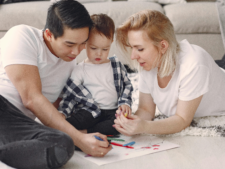 guiso de habas de la abuela una deliciosa receta tradicional