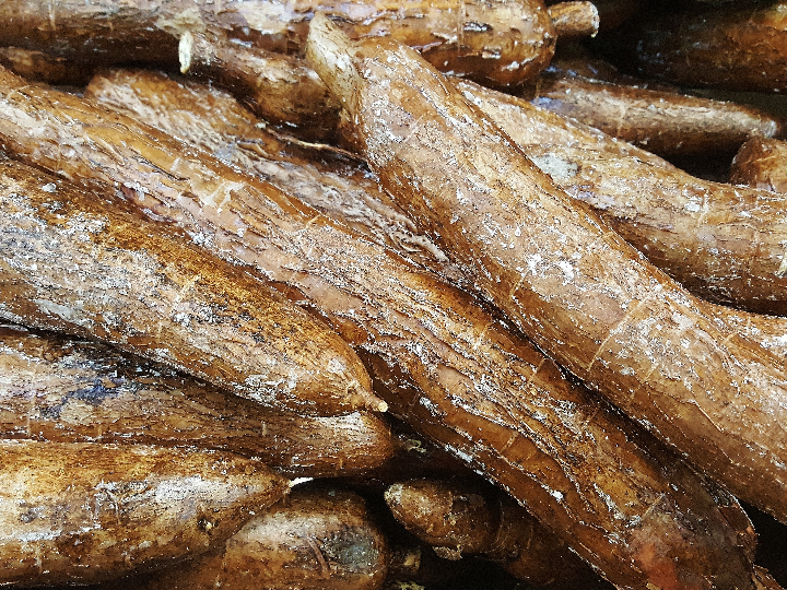 harina de mandioca cuatro datos sobre la deliciosa harina alternativa de ruuto