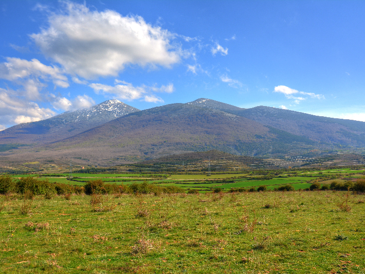 hemocin hemorroides soria natural 40g