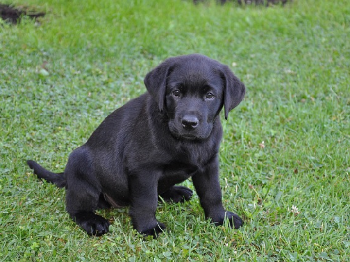 historias de la puta mili 1987 1989