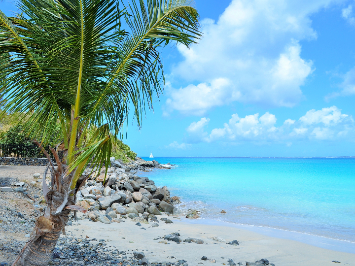 hotel occidental caribe punta cana