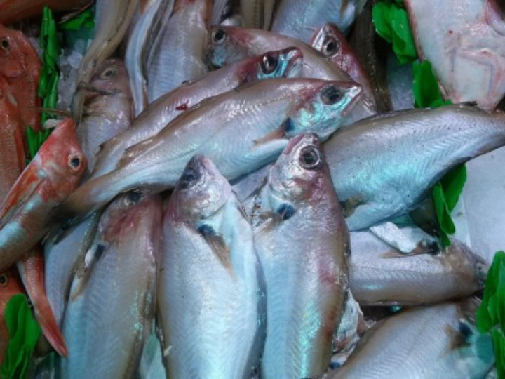 ideliciosos filetes de dorada a la plancha receta facil y rapida para sorprender en la cocina
