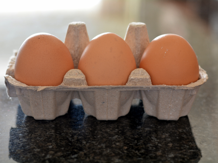 incubadoras de huevos brinsea